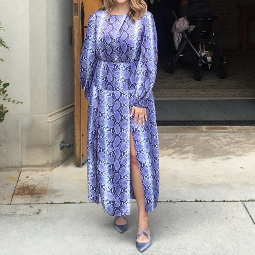 NWT Top Shop Purple Snake Print Long Sleeve Maxi Dress (Size 4)